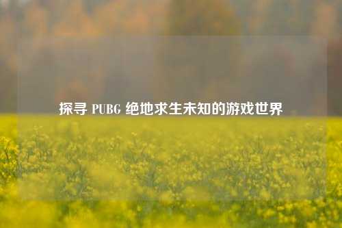 探寻 PUBG 绝地求生未知的游戏世界