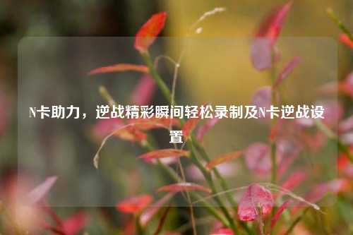 N卡助力,逆战精彩瞬间轻松录制及N卡逆战设置