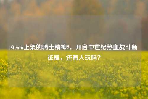 Steam上架的骑士精神2,开启中世纪热血战斗新征程,还有人玩吗?