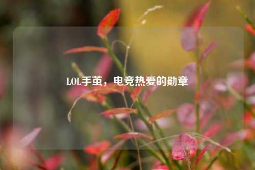 LOL手茧,电竞热爱的勋章