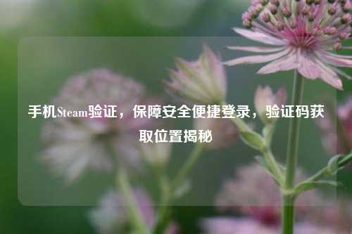 手机Steam验证,保障安全便捷登录,验证码获取位置揭秘