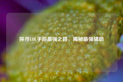 探寻LOL手游最强之路,揭秘最强辅助