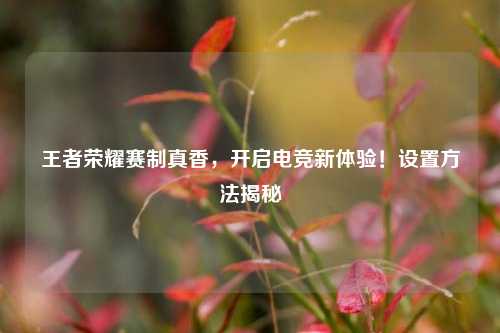 王者荣耀赛制真香,开启电竞新体验!设置方法揭秘