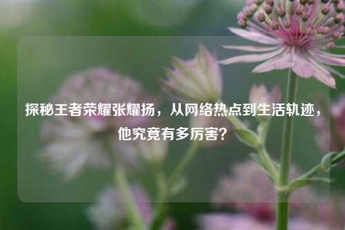 探秘王者荣耀张耀扬,从网络热点到生活轨迹,他究竟有多厉害?