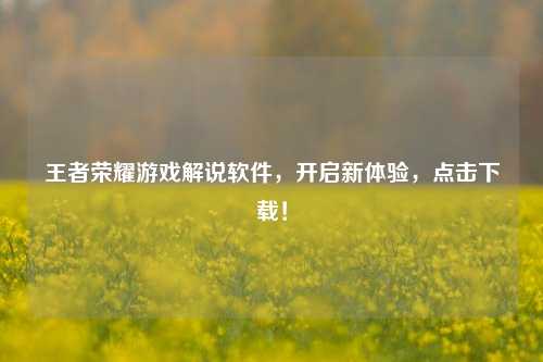 王者荣耀游戏解说软件,开启新体验,点击下载!