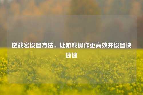 逆战宏设置方法,让游戏操作更高效并设置快捷键