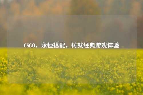 CSGO,永恒搭配,铸就经典游戏体验