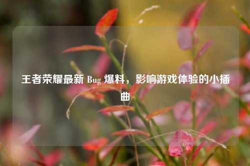 王者荣耀最新 Bug 爆料,影响游戏体验的小插曲