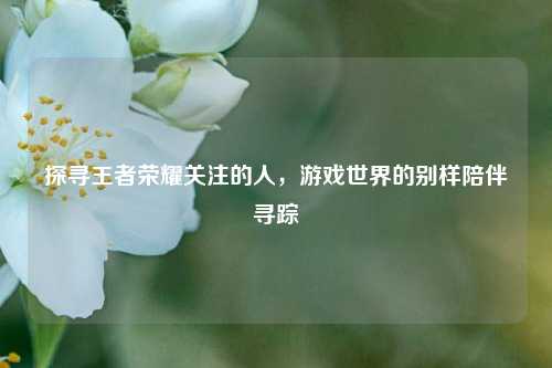 探寻王者荣耀关注的人,游戏世界的别样陪伴寻踪