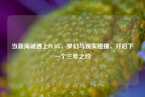 当新海诚遇上PUBG,梦幻与现实碰撞,开启下一个三年之约