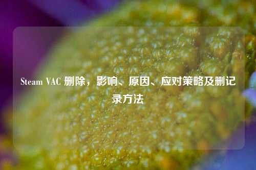 Steam VAC 删除,影响、原因、应对策略及删记录方法