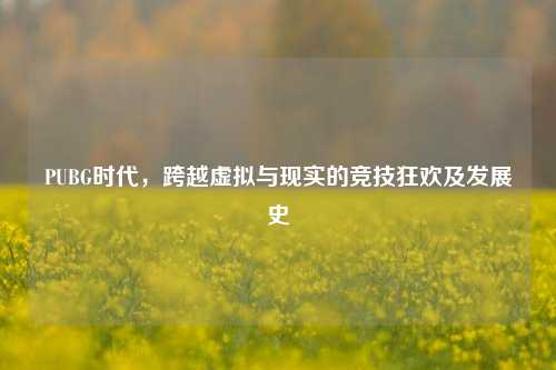 PUBG时代,跨越虚拟与现实的竞技狂欢及发展史