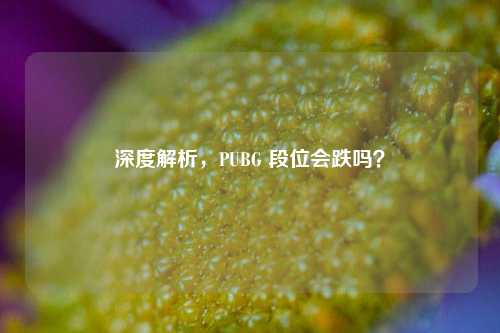 深度解析,PUBG 段位会跌吗?