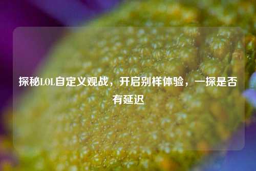 探秘LOL自定义观战,开启别样体验,一探是否有延迟