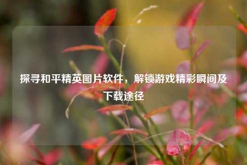 探寻和平精英图片软件,解锁游戏精彩瞬间及下载途径