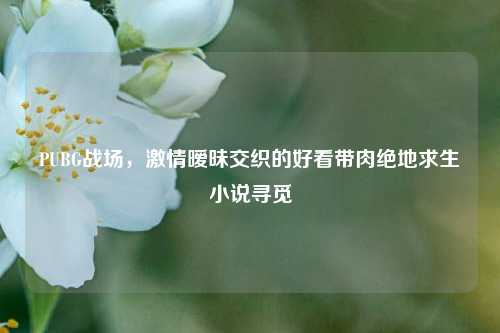 PUBG战场,激情暧昧交织的好看带肉绝地求生小说寻觅