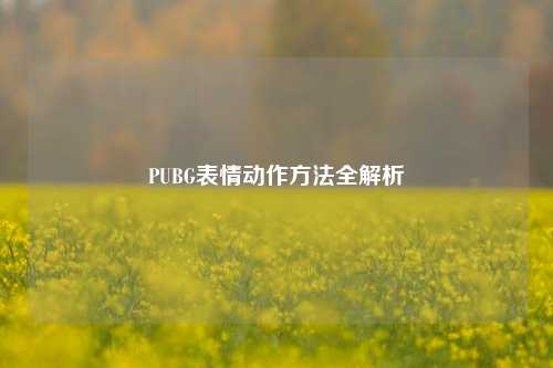 PUBG表情动作方法全解析