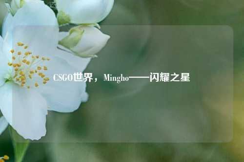 CSGO世界,Mingho——闪耀之星