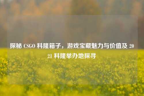 探秘 CSGO 科隆箱子,游戏宝藏魅力与价值及 2021 科隆举办地探寻