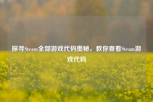 探寻Steam全部游戏代码奥秘,教你查看Steam游戏代码