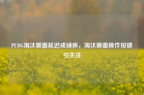 PUBG淘汰画面延迟成顽疾,淘汰画面操作按键引关注
