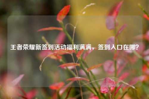 王者荣耀新签到活动福利满满,签到入口在哪?