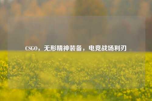 CSGO,无形精神装备,电竞战场利刃