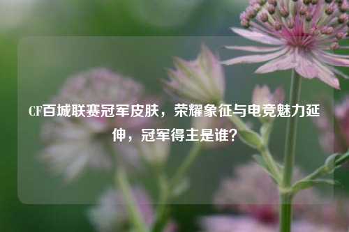 CF百城联赛冠军皮肤,荣耀象征与电竞魅力延伸,冠军得主是谁?
