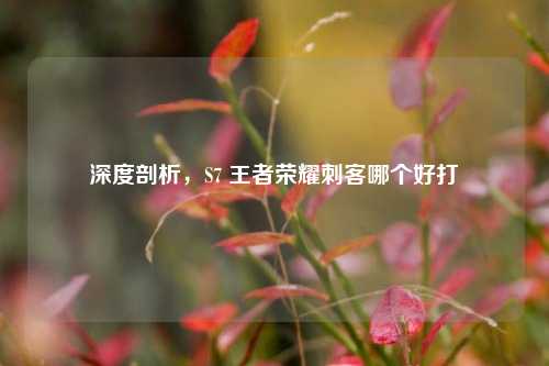 深度剖析,S7 王者荣耀刺客哪个好打