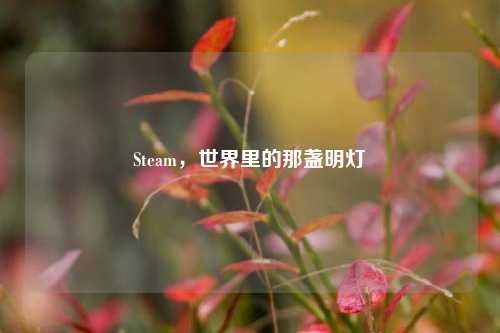 Steam,世界里的那盏明灯