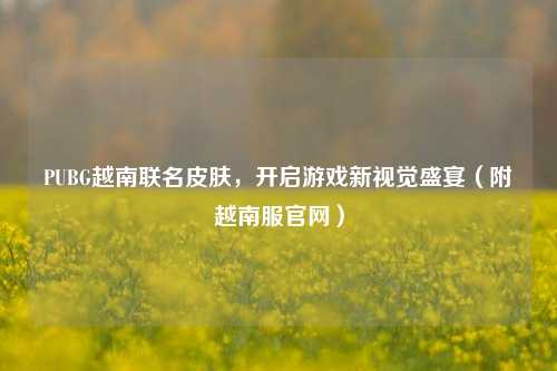 PUBG越南联名皮肤,开启游戏新视觉盛宴(附越南服官网)