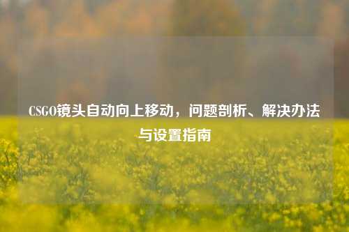CSGO镜头自动向上移动,问题剖析、解决办法与设置指南