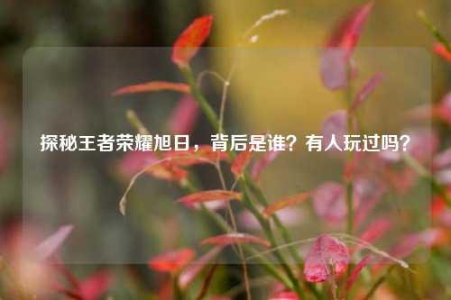 探秘王者荣耀旭日,背后是谁?有人玩过吗?