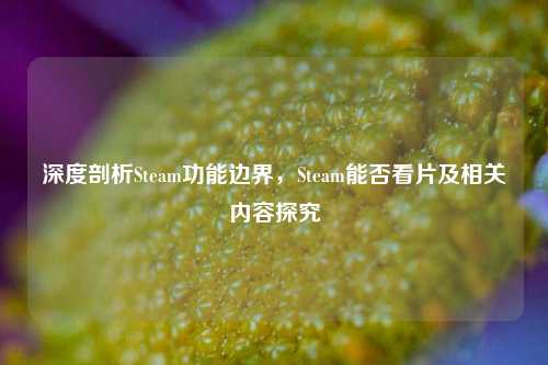 深度剖析Steam功能边界,Steam能否看片及相关内容探究