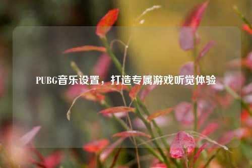 PUBG音乐设置,打造专属游戏听觉体验