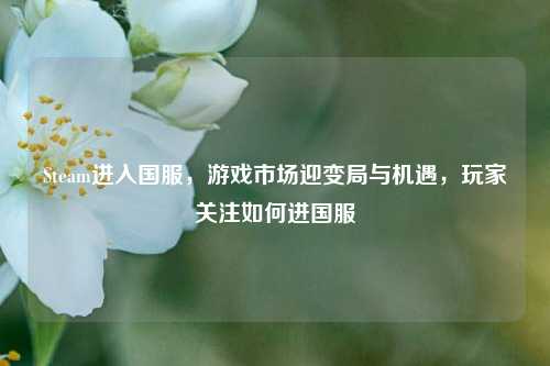 Steam进入国服,游戏市场迎变局与机遇,玩家关注如何进国服