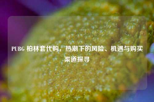 PUBG 柏林套代购,热潮下的风险、机遇与购买渠道探寻
