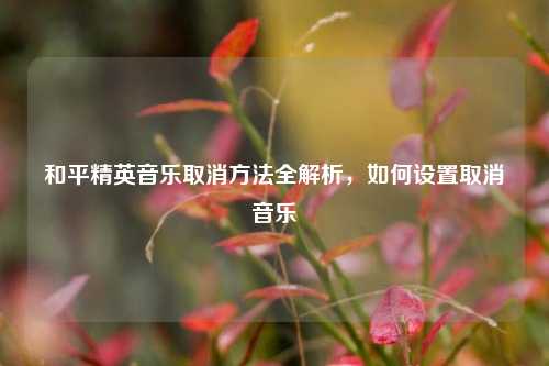 和平精英音乐取消方法全解析,如何设置取消音乐