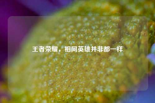 王者荣耀,相同英雄并非都一样