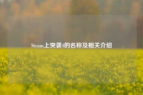 Steam上突袭4的名称及相关介绍
