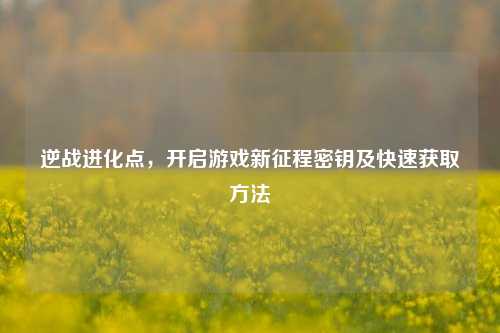 逆战进化点,开启游戏新征程密钥及快速获取方法