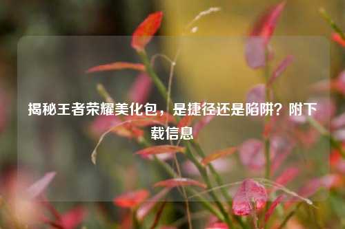 揭秘王者荣耀美化包,是捷径还是陷阱?附下载信息