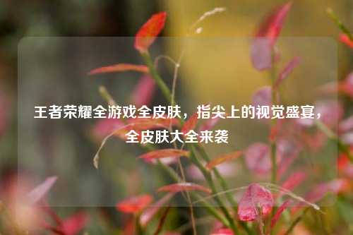 王者荣耀全游戏全皮肤,指尖上的视觉盛宴,全皮肤大全来袭