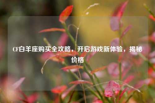 CF白羊座购买全攻略,开启游戏新体验,揭秘价格