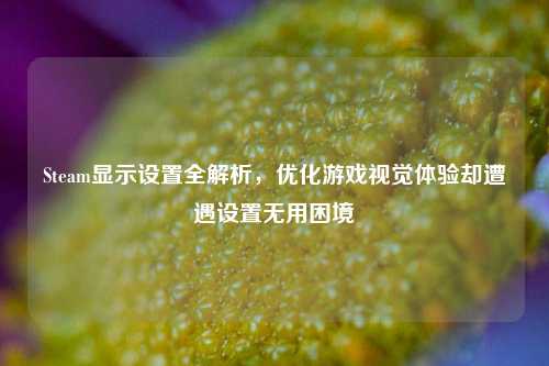 Steam显示设置全解析,优化游戏视觉体验却遭遇设置无用困境