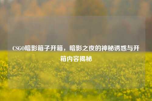 CSGO暗影箱子开箱,暗影之夜的神秘诱惑与开箱内容揭秘