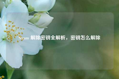 Steam 解除密钥全解析,密钥怎么解除