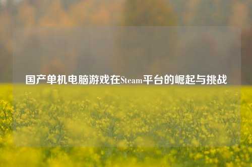 国产单机电脑游戏在Steam平台的崛起与挑战