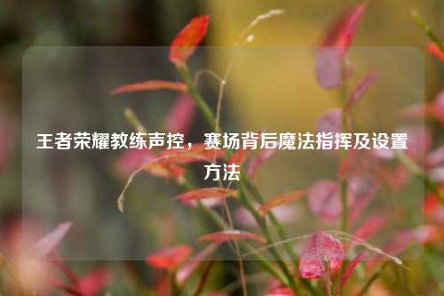 王者荣耀教练声控,赛场背后魔法指挥及设置方法