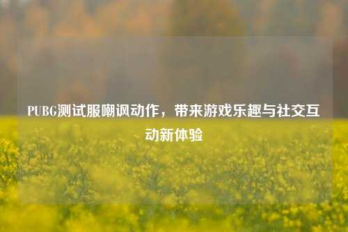 PUBG测试服嘲讽动作,带来游戏乐趣与社交互动新体验